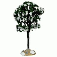 Balsam Fir Tree, Small
